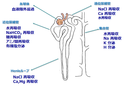 guide07-1